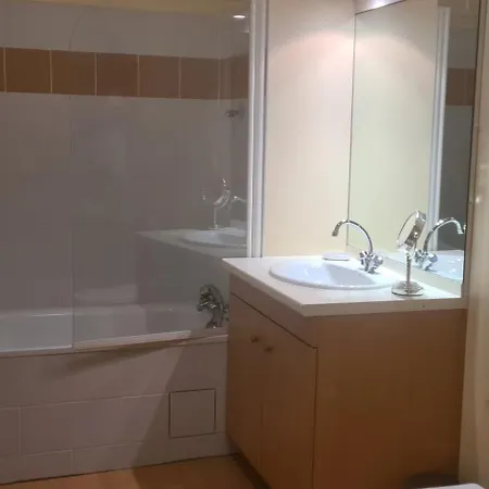 Le Porteur De Glace Classe 2 Etoiles Apartment Aulus-les-Bains