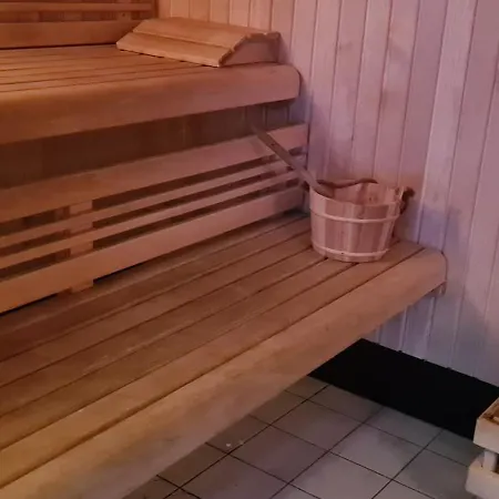 Apartman Le Porteur De Glace Classe 2 Etoiles Aulus-les-Bains