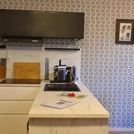 Le Porteur De Glace Classe 2 Etoiles Apartman Aulus-les-Bains